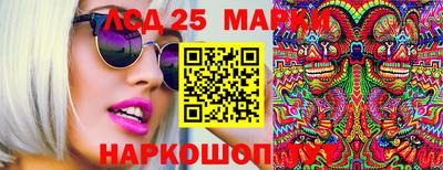 МДПВ Новодвинск