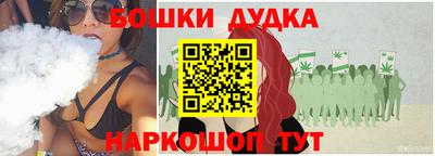 МДПВ Новодвинск