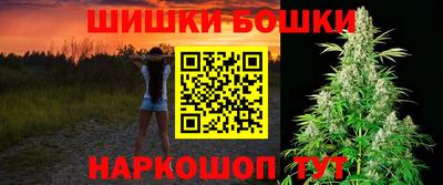 МДПВ Новодвинск