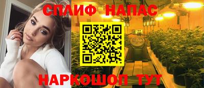 МДПВ Новодвинск
