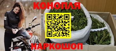МДПВ Новодвинск