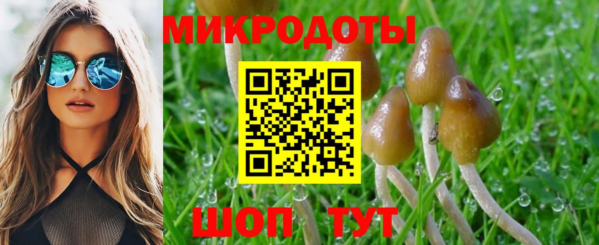 Галлюциногенные грибы мицелий Соликамск